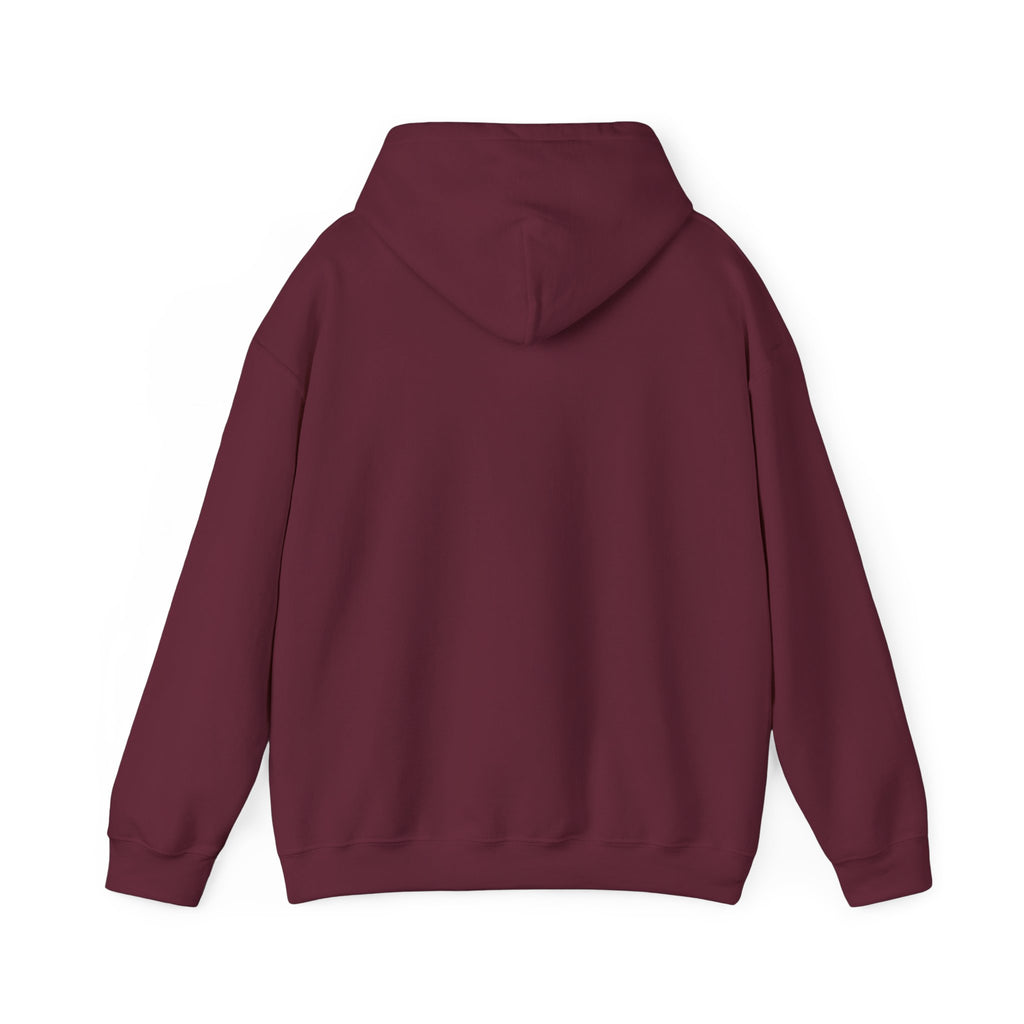 Walking by Faith Christian Highland Cow Hoodie