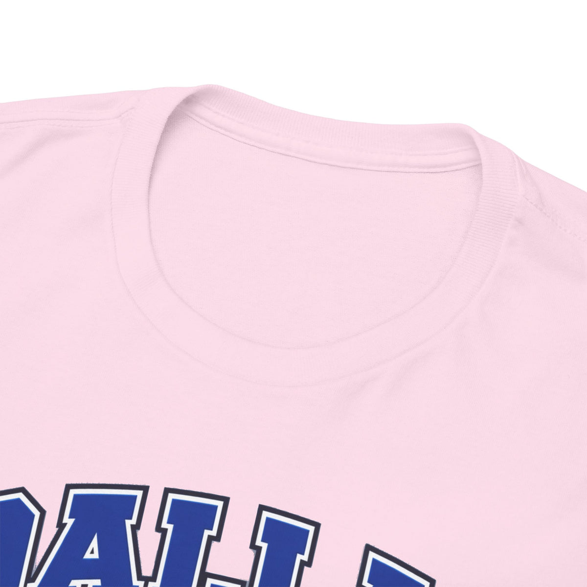 Dallas Thanksgiving Football T-Shirt — Turkey Mascot Game Day Tee