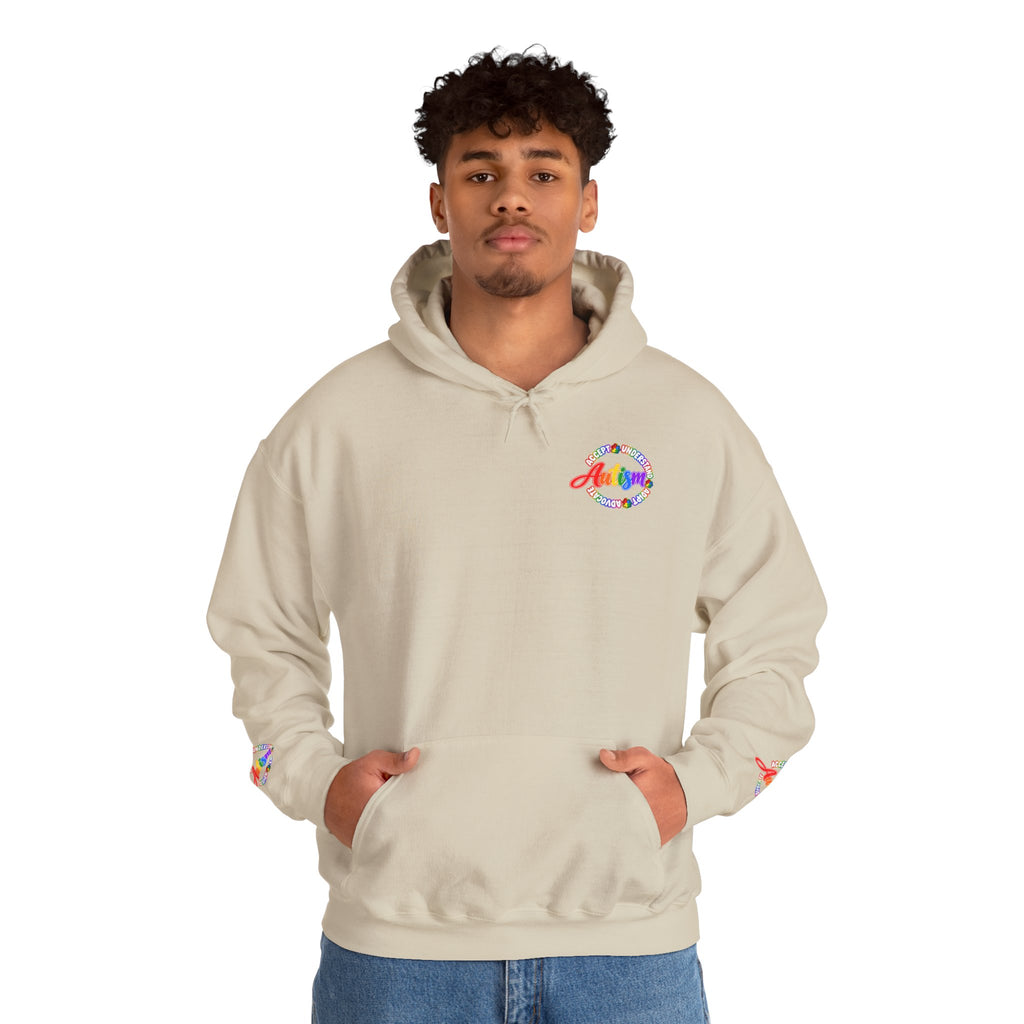 Autism Acceptance Awareness Hoodie