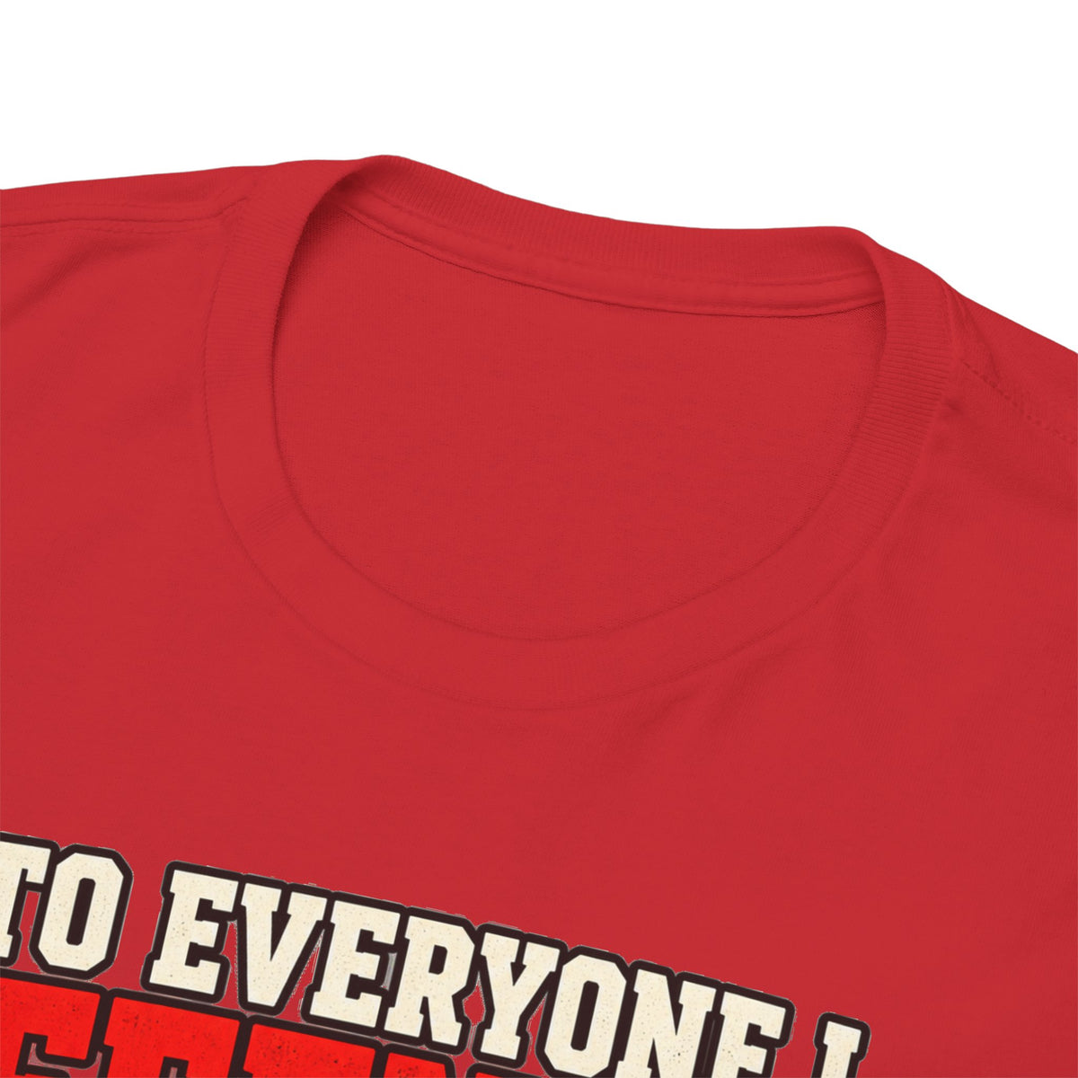 To Everyone I Offended This Year Funny New Year T-Shirt