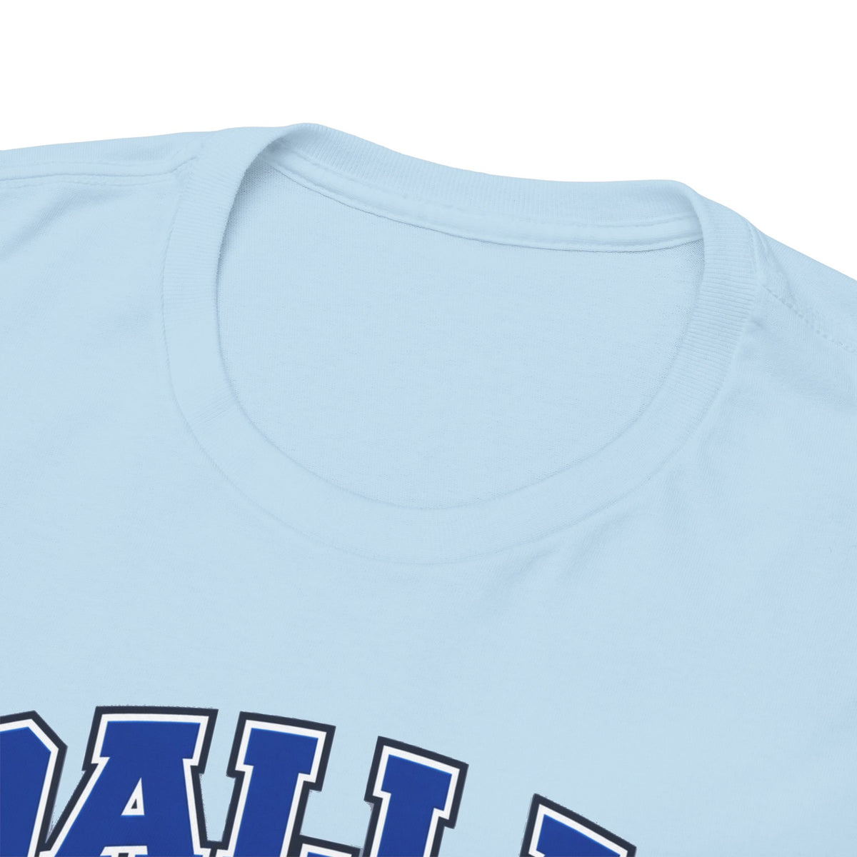 Dallas Thanksgiving Football T-Shirt — Turkey Mascot Game Day Tee