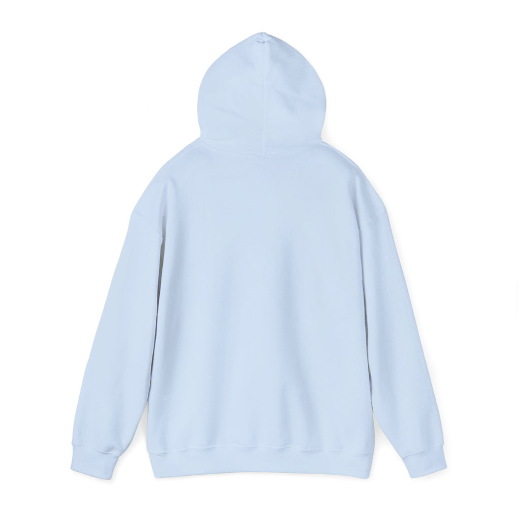 Walking by Faith Christian Highland Cow Hoodie