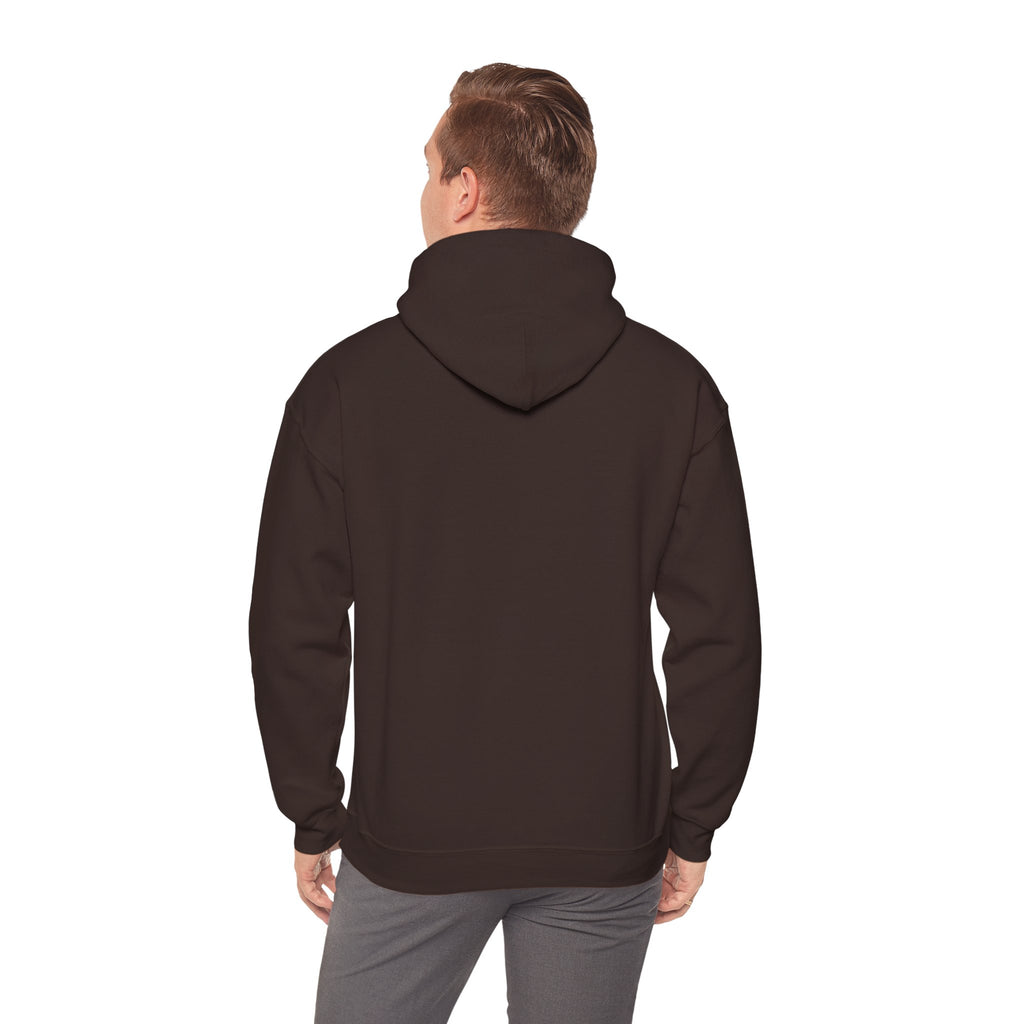Walking by Faith Christian Highland Cow Hoodie