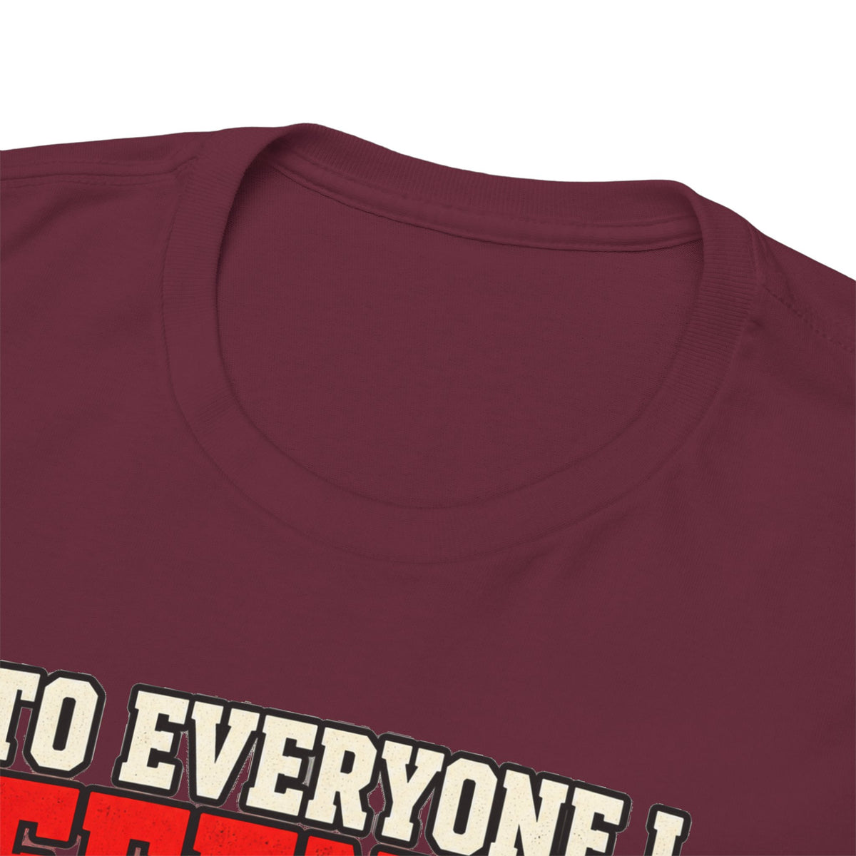 To Everyone I Offended This Year Funny New Year T-Shirt