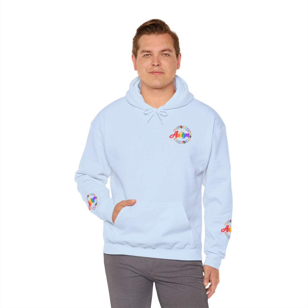 Autism Acceptance Awareness Hoodie