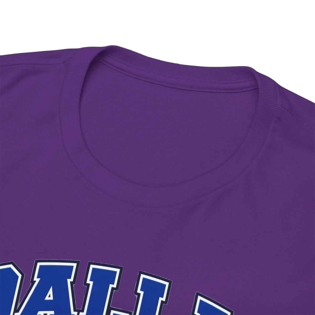 Dallas Thanksgiving Football T-Shirt — Turkey Mascot Game Day Tee