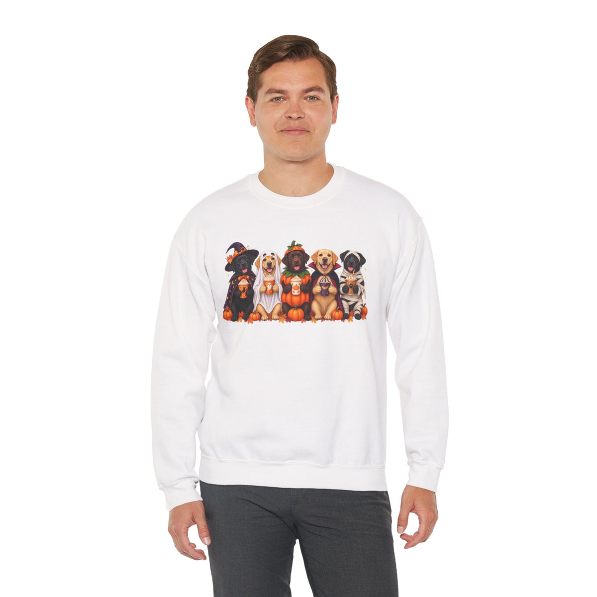 Halloween Dogs Crewneck Sweatshirt — Cute Puppies in Costumes Fall Pullover