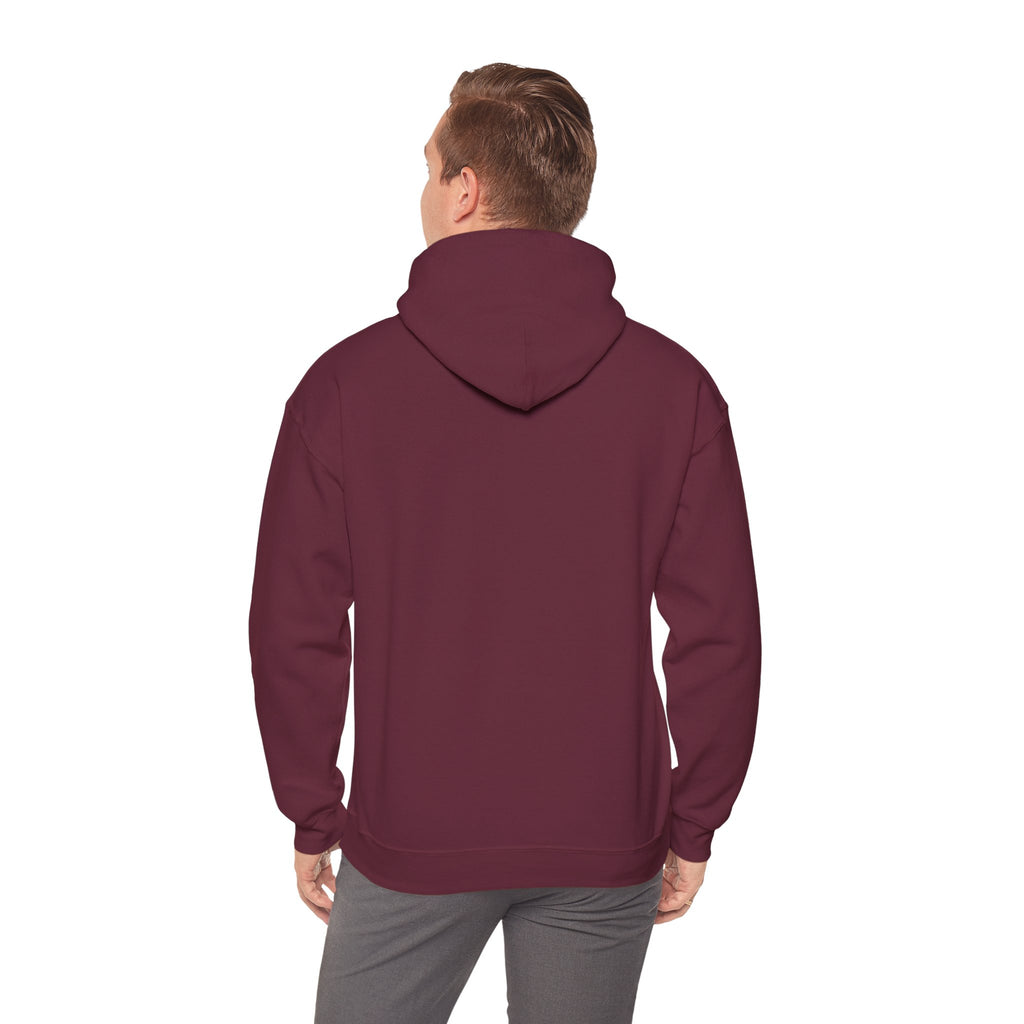 Walking by Faith Christian Highland Cow Hoodie