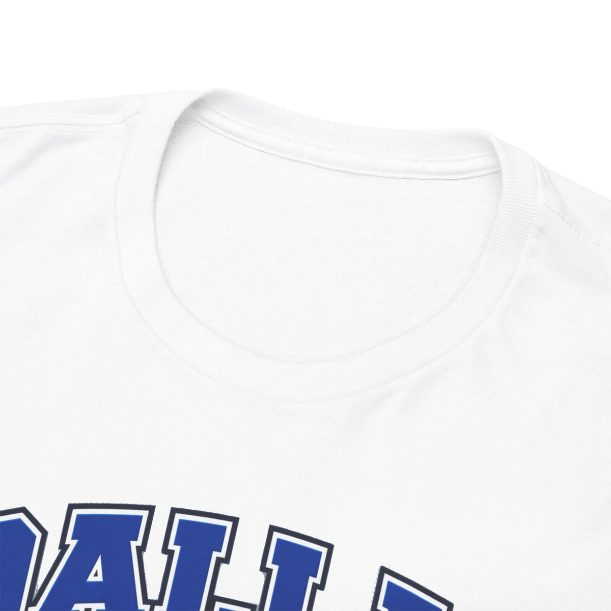 Dallas Thanksgiving Football T-Shirt — Turkey Mascot Game Day Tee