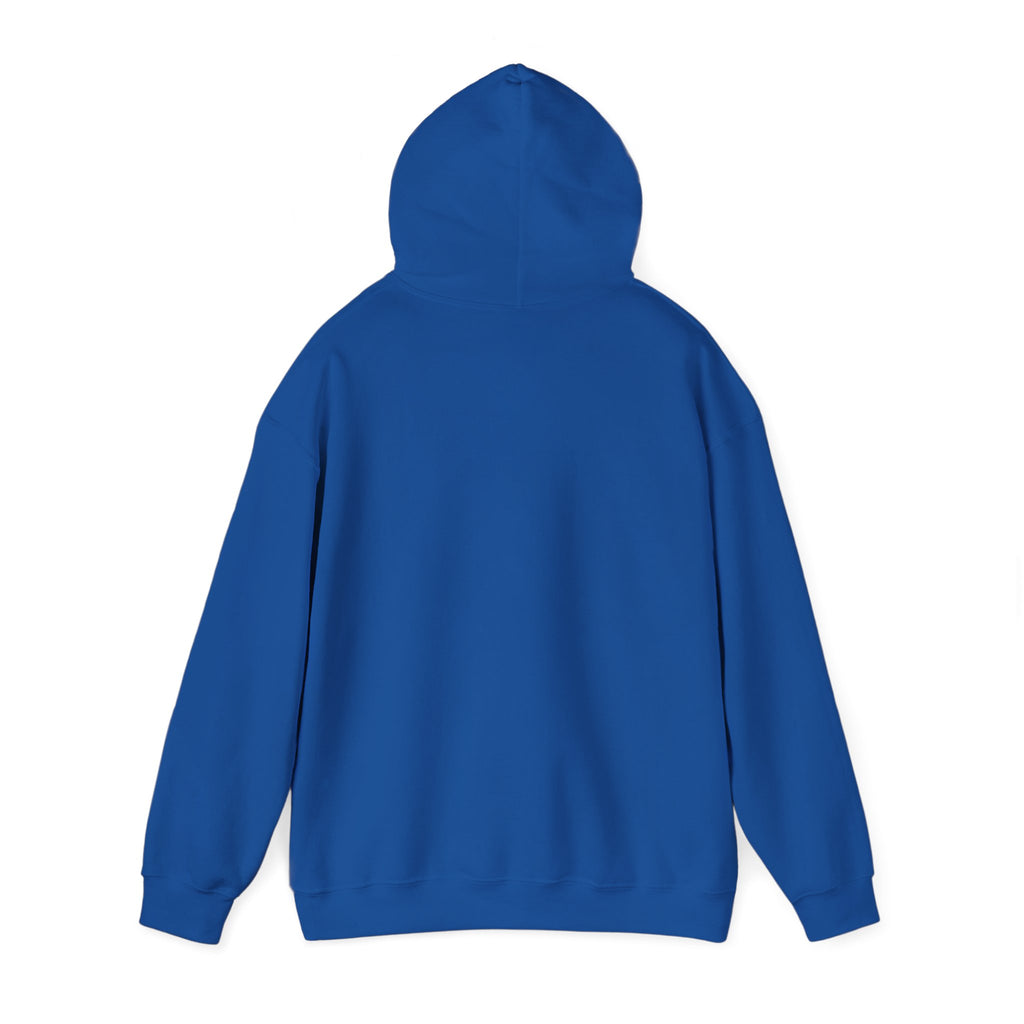 Walking by Faith Christian Highland Cow Hoodie