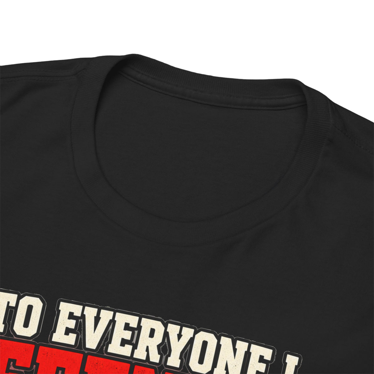 To Everyone I Offended This Year Funny New Year T-Shirt