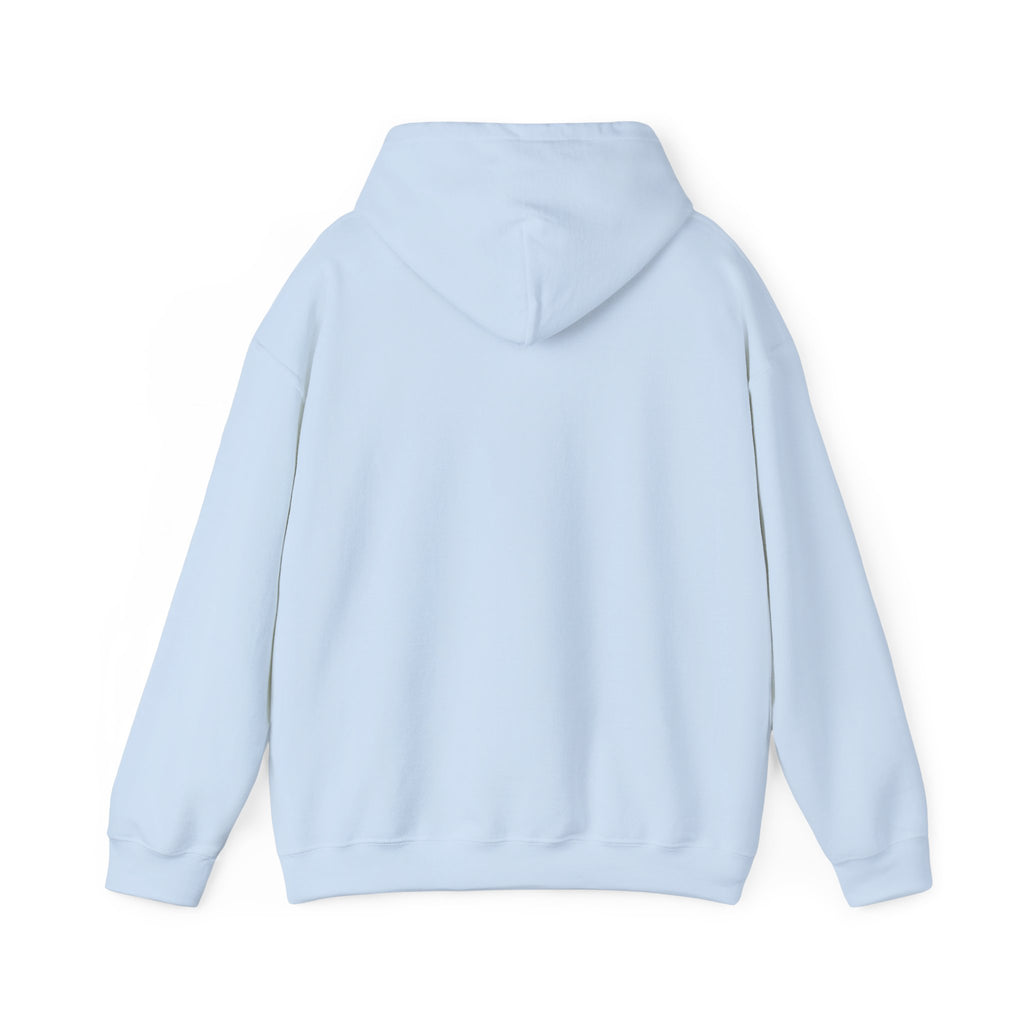 Walking by Faith Christian Highland Cow Hoodie