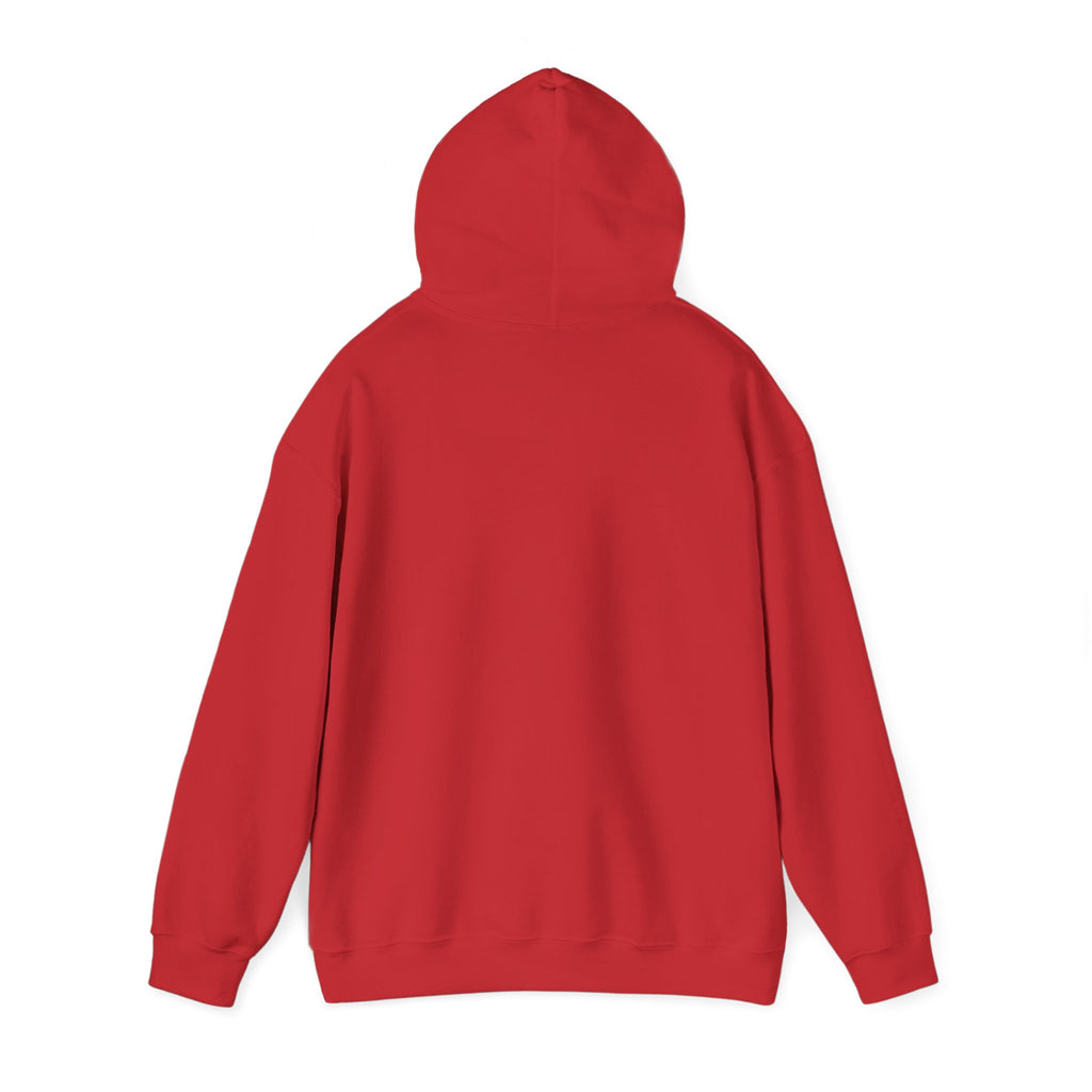 Walking by Faith Christian Highland Cow Hoodie